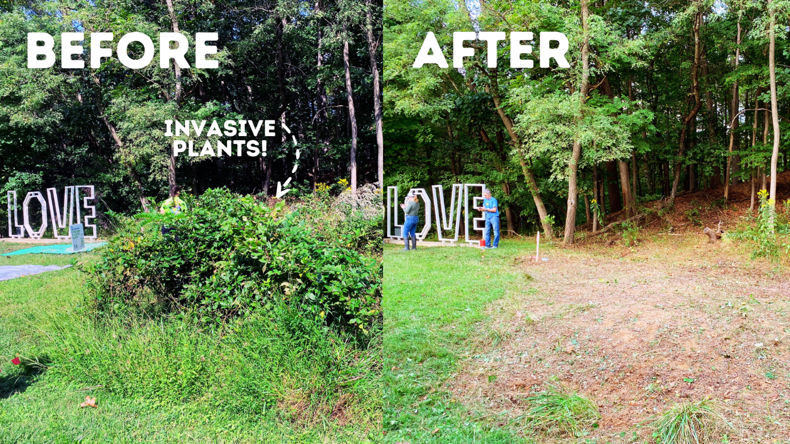 Love%20Sign%20Invasives.png