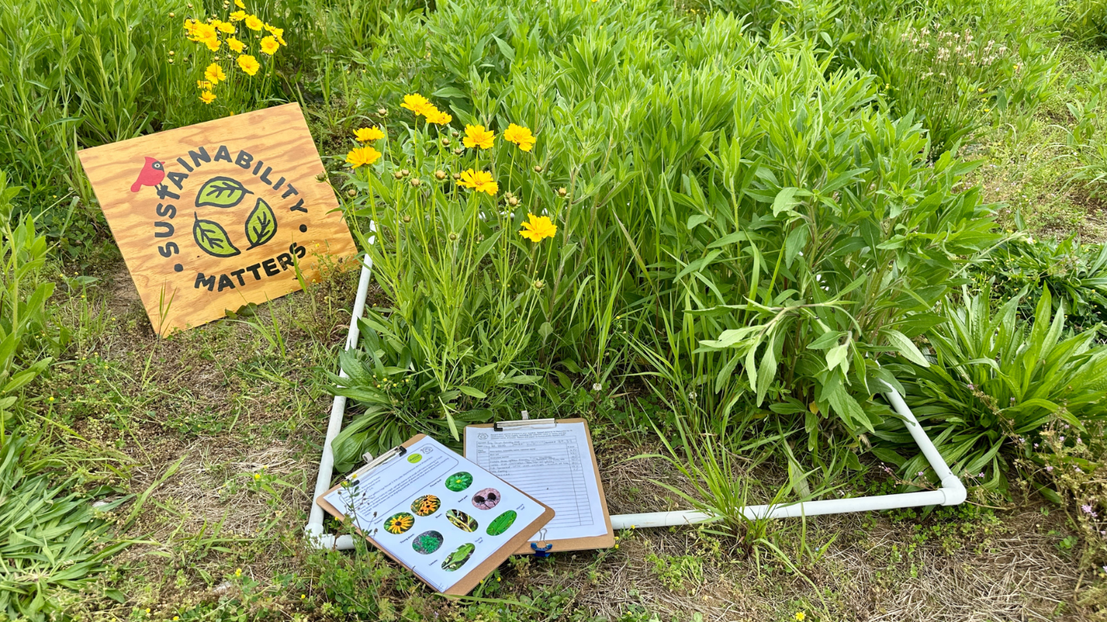MTB_Plant_Counts_1920x1080%20(1).png