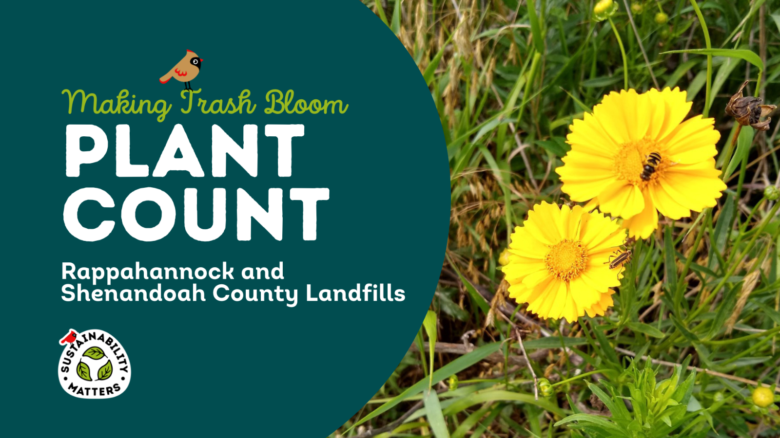 MTB_Plant_Counts_1920x1080.png