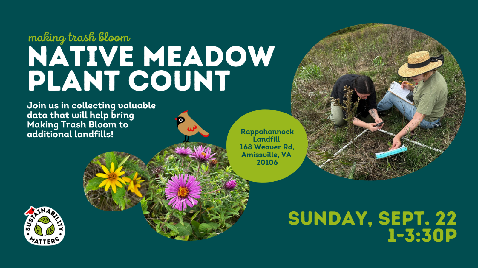 Native%20Meadow%20%20Plant%20Count_LI_1920x1080.png