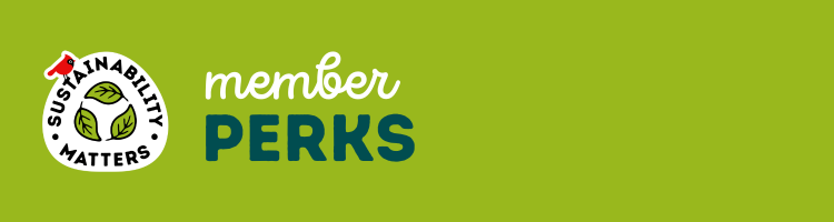 Newsletter%20Headers(4).png