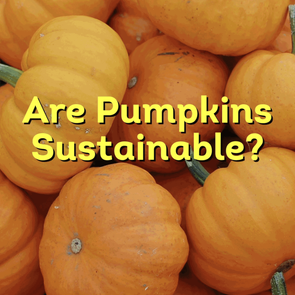 Oct-ICYMI.gif